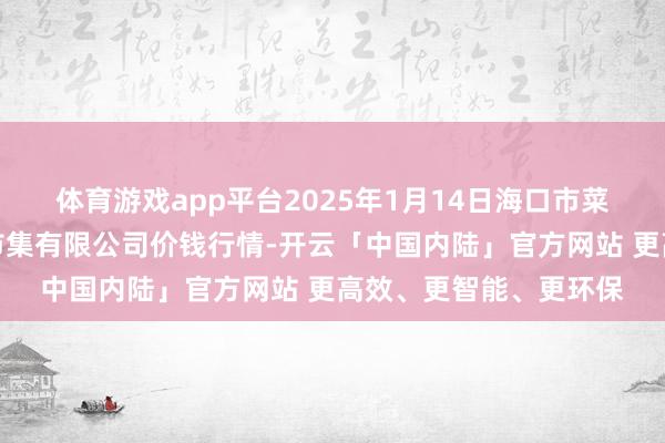体育游戏app平台2025年1月14日海口市菜篮子江楠农居品批发市集有限公司价钱行情-开云「中国内陆」官方网站 更高效、更智能、更环保