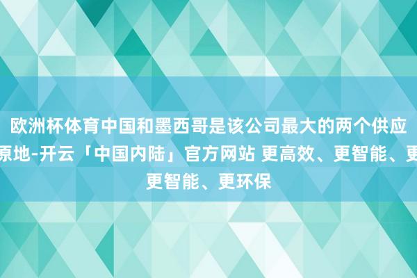 欧洲杯体育中国和墨西哥是该公司最大的两个供应链起原地-开云「中国内陆」官方网站 更高效、更智能、更环保