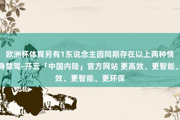欧洲杯体育另有1东说念主因同期存在以上两种情形被终身禁驾-开云「中国内陆」官方网站 更高效、更智能、更环保