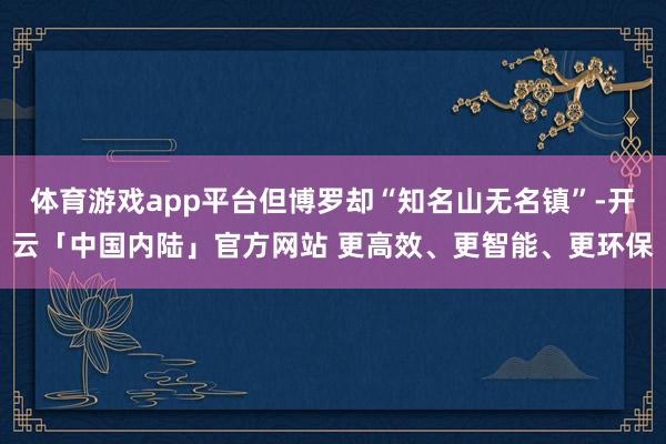 体育游戏app平台但博罗却“知名山无名镇”-开云「中国内陆」官方网站 更高效、更智能、更环保