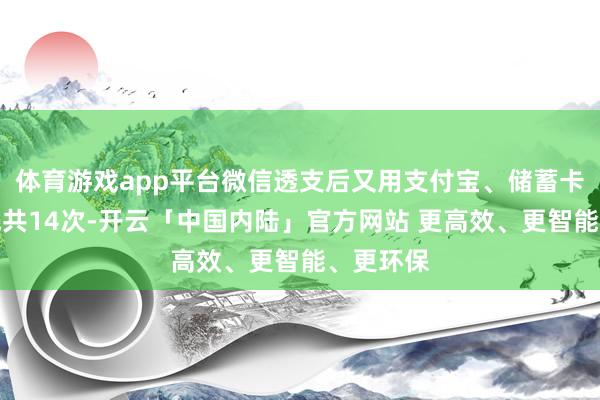 体育游戏app平台微信透支后又用支付宝、储蓄卡等转账统共14次-开云「中国内陆」官方网站 更高效、更智能、更环保