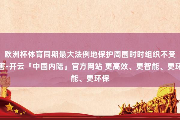 欧洲杯体育同期最大法例地保护周围时时组织不受伤害-开云「中国内陆」官方网站 更高效、更智能、更环保