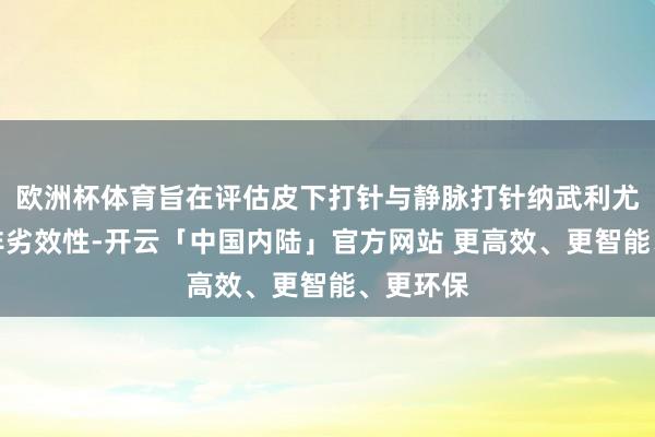 欧洲杯体育旨在评估皮下打针与静脉打针纳武利尤单抗的非劣效性-开云「中国内陆」官方网站 更高效、更智能、更环保