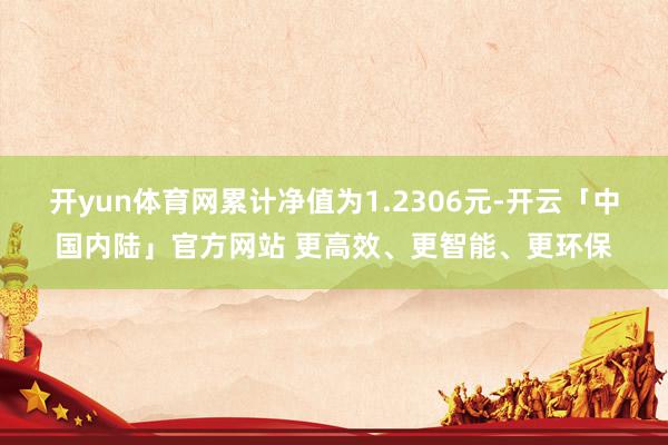 开yun体育网累计净值为1.2306元-开云「中国内陆」官方网站 更高效、更智能、更环保