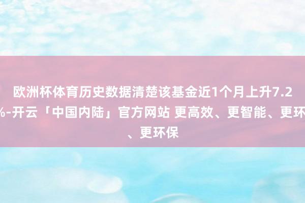 欧洲杯体育历史数据清楚该基金近1个月上升7.28%-开云「中国内陆」官方网站 更高效、更智能、更环保