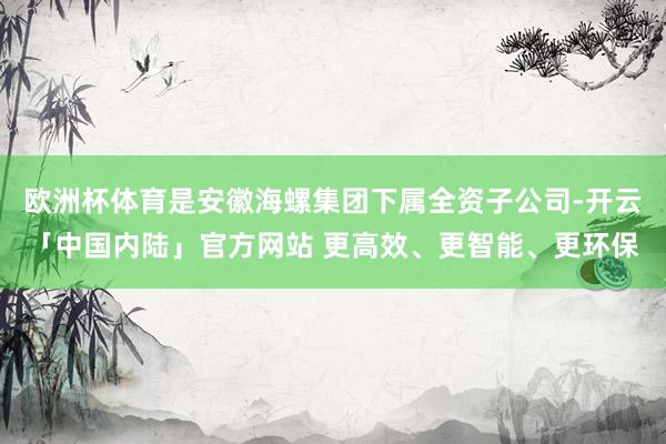 欧洲杯体育是安徽海螺集团下属全资子公司-开云「中国内陆」官方网站 更高效、更智能、更环保