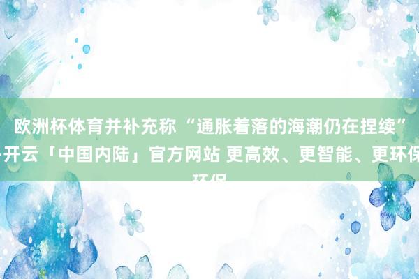 欧洲杯体育并补充称 “通胀着落的海潮仍在捏续”-开云「中国内陆」官方网站 更高效、更智能、更环保