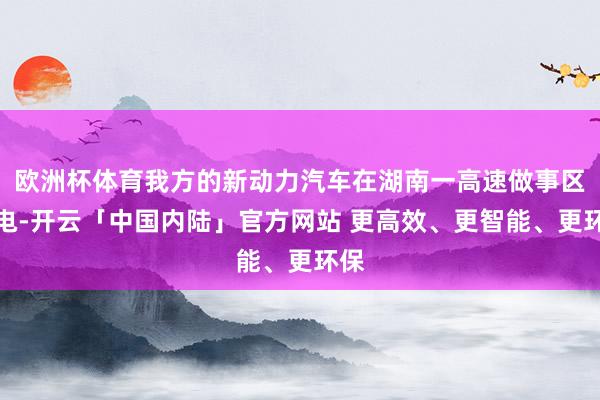 欧洲杯体育我方的新动力汽车在湖南一高速做事区充电-开云「中国内陆」官方网站 更高效、更智能、更环保
