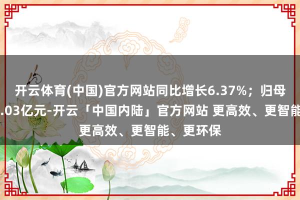 开云体育(中国)官方网站同比增长6.37%；归母净利润11.03亿元-开云「中国内陆」官方网站 更高效、更智能、更环保