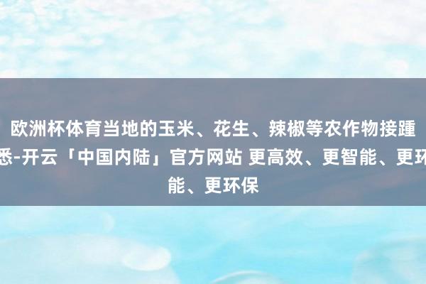 欧洲杯体育当地的玉米、花生、辣椒等农作物接踵熟悉-开云「中国内陆」官方网站 更高效、更智能、更环保