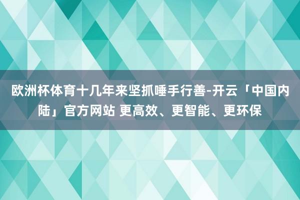 欧洲杯体育十几年来坚抓唾手行善-开云「中国内陆」官方网站 更高效、更智能、更环保
