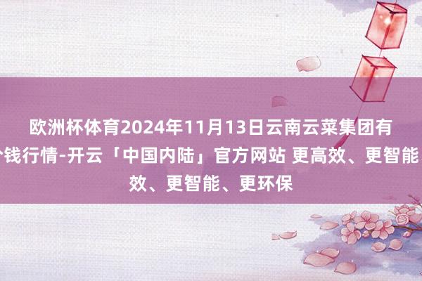 欧洲杯体育2024年11月13日云南云菜集团有限公司价钱行情-开云「中国内陆」官方网站 更高效、更智能、更环保