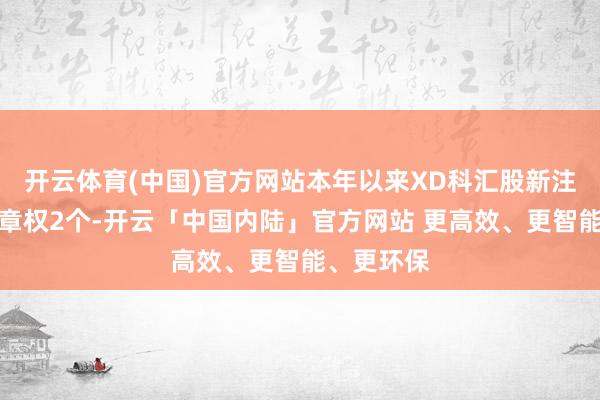 开云体育(中国)官方网站本年以来XD科汇股新注册软件文章权2个-开云「中国内陆」官方网站 更高效、更智能、更环保