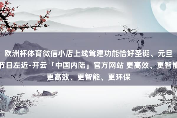 欧洲杯体育微信小店上线耸建功能恰好圣诞、元旦、春节等节日左近-开云「中国内陆」官方网站 更高效、更智能、更环保