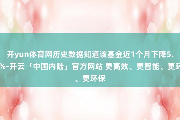 开yun体育网历史数据知道该基金近1个月下降5.24%-开云「中国内陆」官方网站 更高效、更智能、更环保