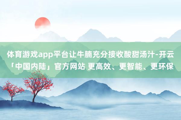 体育游戏app平台让牛腩充分接收酸甜汤汁-开云「中国内陆」官方网站 更高效、更智能、更环保