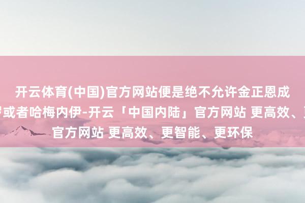 开云体育(中国)官方网站便是绝不允许金正恩成为第二个马杜罗或者哈梅内伊-开云「中国内陆」官方网站 更高效、更智能、更环保
