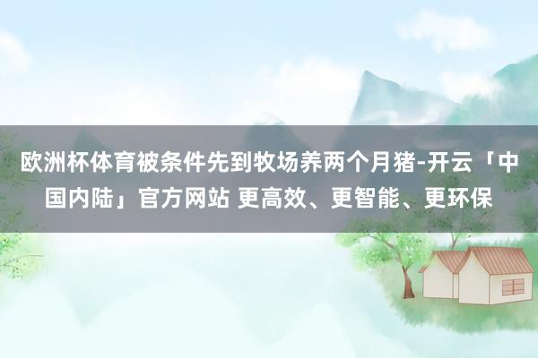 欧洲杯体育被条件先到牧场养两个月猪-开云「中国内陆」官方网站 更高效、更智能、更环保