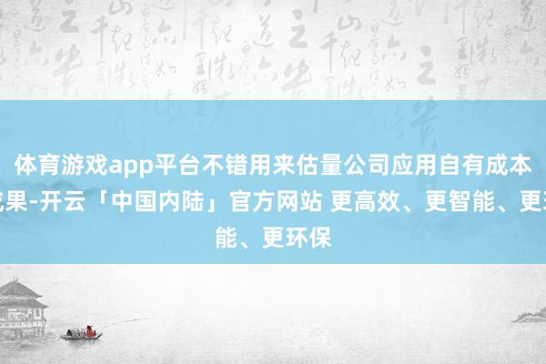 体育游戏app平台不错用来估量公司应用自有成本的成果-开云「中国内陆」官方网站 更高效、更智能、更环保