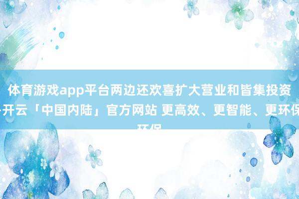 体育游戏app平台两边还欢喜扩大营业和皆集投资-开云「中国内陆」官方网站 更高效、更智能、更环保