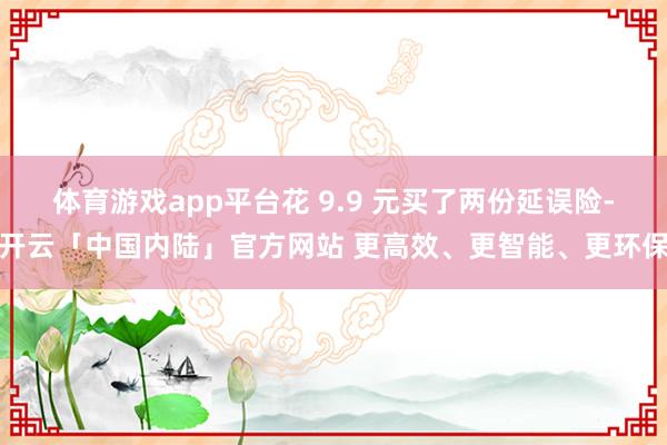 体育游戏app平台花 9.9 元买了两份延误险-开云「中国内陆」官方网站 更高效、更智能、更环保