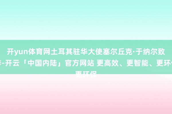 开yun体育网土耳其驻华大使塞尔丘克·于纳尔致辞-开云「中国内陆」官方网站 更高效、更智能、更环保