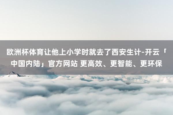 欧洲杯体育让他上小学时就去了西安生计-开云「中国内陆」官方网站 更高效、更智能、更环保