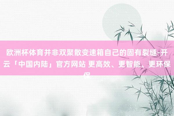 欧洲杯体育并非双聚散变速箱自己的固有裂缝-开云「中国内陆」官方网站 更高效、更智能、更环保
